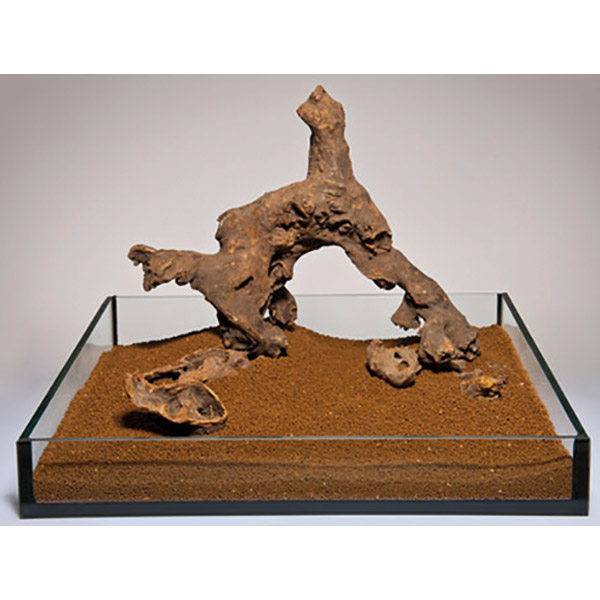 Aqua Deco Savanna Ahşabı Akvaryum Dekoru S