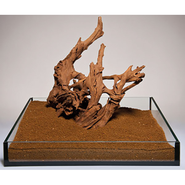 Aqua Deco Mangrove Tropik Ahşap Kırmızı Kahverengi 30-60cm L