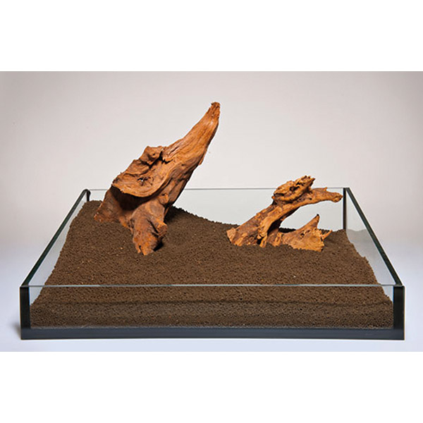 Aqua Deco Mangrove Tropik Ahşap Kırmızı Kahverengi 90-130cm XXL