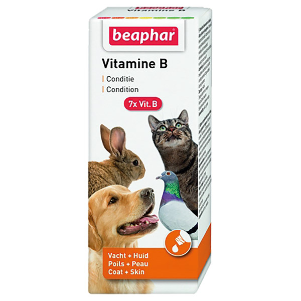 VITAMIN B (KEDI-KOPEK-KUS)