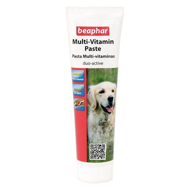 DUO ACTIVE KOPEK VIT