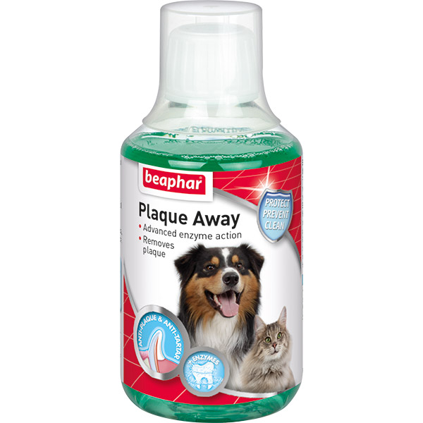 AGIZ GARGARASI 250 ML