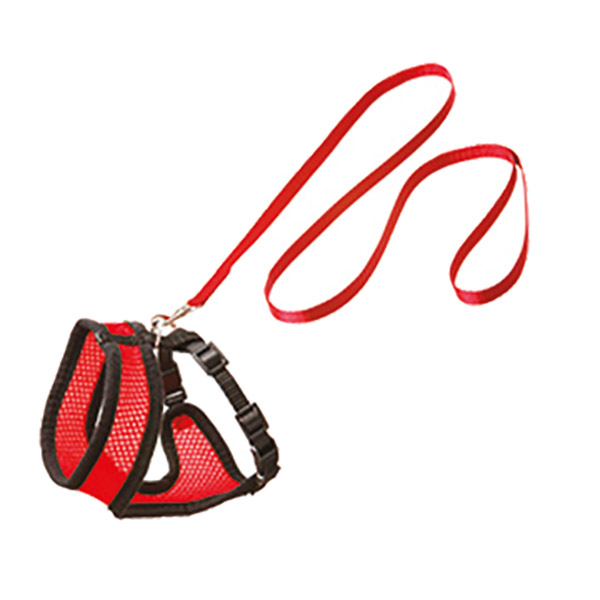 KIRMIZI KEDİ FİLE GÖĞUS+UZATMA