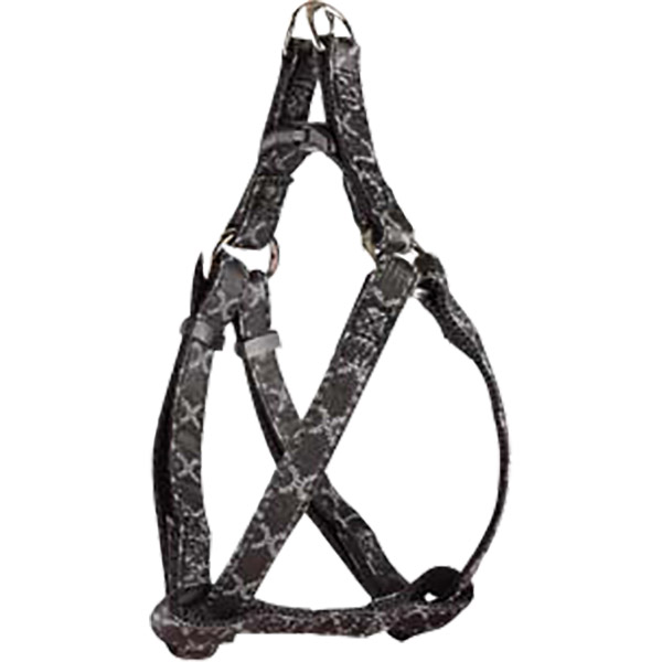 ODIN KÖP.GÖĞ.TAS.SİYAH 35-50CM