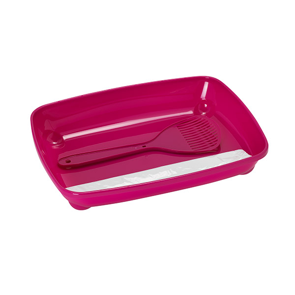 KEDI BASLANGIC SETI FUSYA