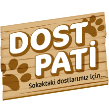 DOST PATİ